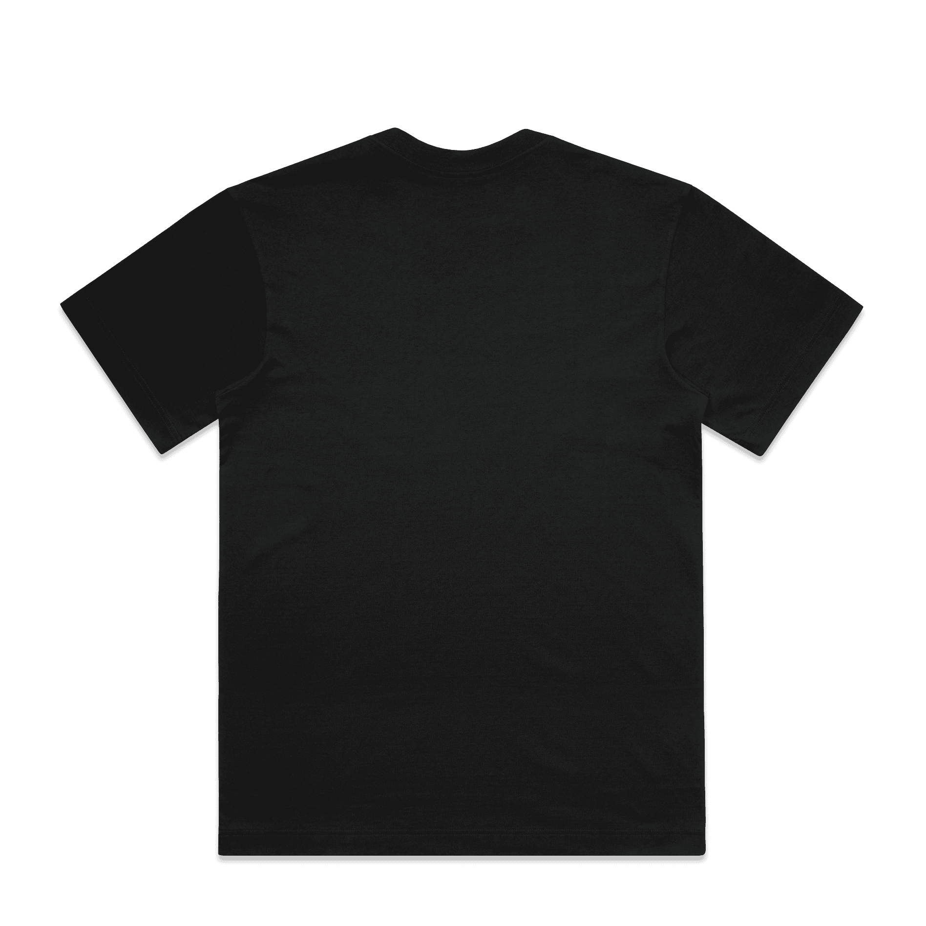 Tauawhi Logo Embroidered T-Shirt back